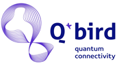 Q*Bird